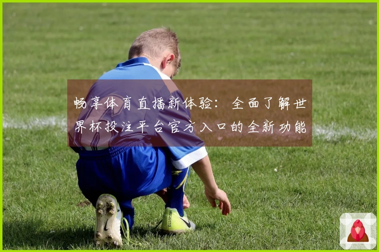 畅享体育直播新体验：全面了解世界杯投注平台官方入口的全新功能与使用指南