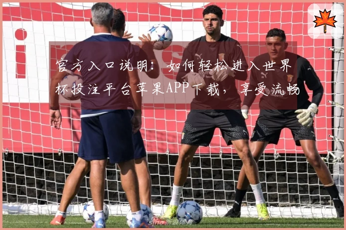 官方入口说明：如何轻松进入世界杯投注平台苹果APP下载，享受流畅直播体验