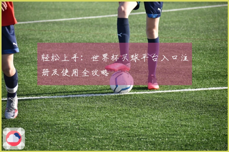 轻松上手：世界杯买球平台入口注册及使用全攻略