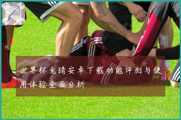 世界杯竞猜安卓下载功能评测与使用体验全面分析