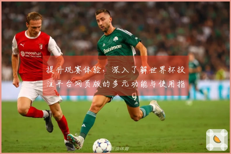 提升观赛体验，深入了解世界杯投注平台网页版的多元功能与使用指南