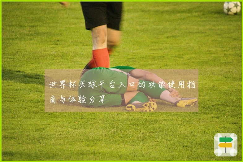 世界杯买球平台入口的功能使用指南与体验分享