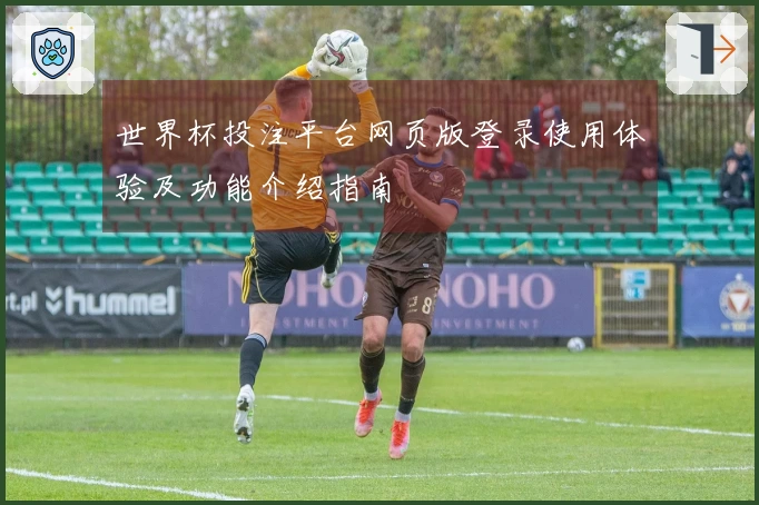 世界杯投注平台网页版登录使用体验及功能介绍指南