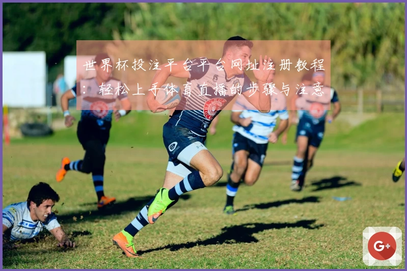 世界杯投注平台平台网址注册教程：轻松上手体育直播的步骤与注意事项