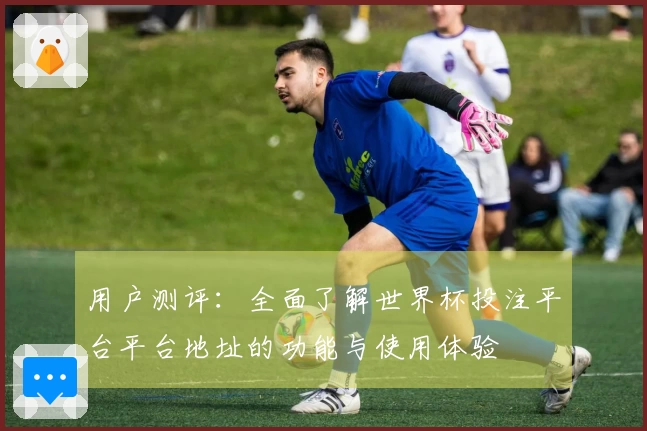 用户测评：全面了解世界杯投注平台平台地址的功能与使用体验