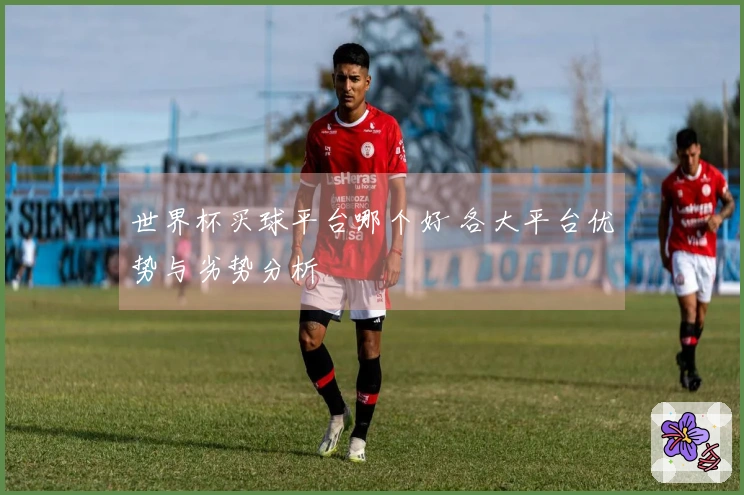 世界杯买球平台哪个好 各大平台优势与劣势分析