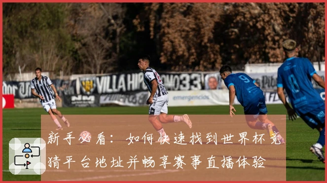 新手必看：如何快速找到世界杯竞猜平台地址并畅享赛事直播体验