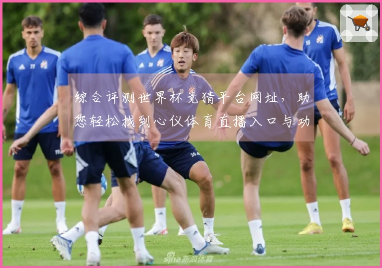 综合评测世界杯竞猜平台网址，助您轻松找到心仪体育直播入口与功能
