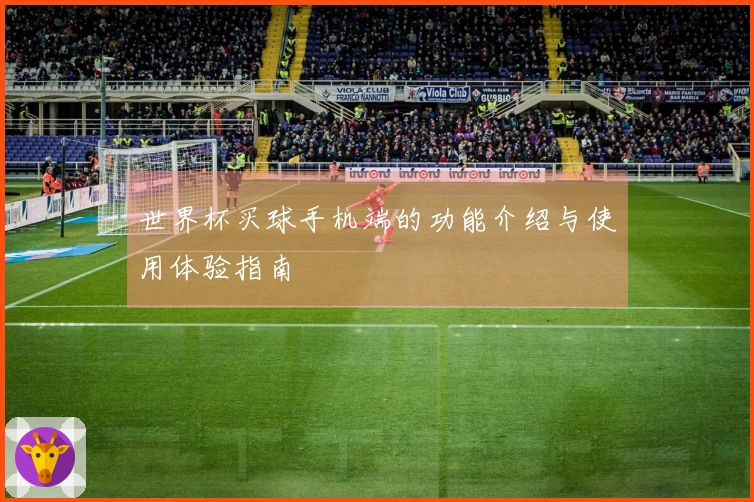 世界杯买球手机端的功能介绍与使用体验指南