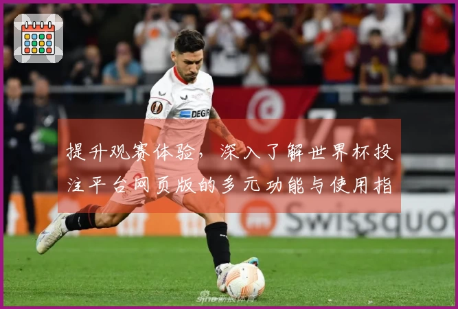 提升观赛体验,深入了解世界杯投注平台网页版的多元功能与使用指南