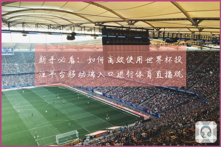 新手必看：如何高效使用世界杯投注平台移动端入口进行体育直播观看