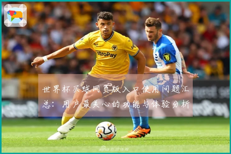 世界杯买球网页版入口使用问题汇总：用户最关心的功能与体验分析