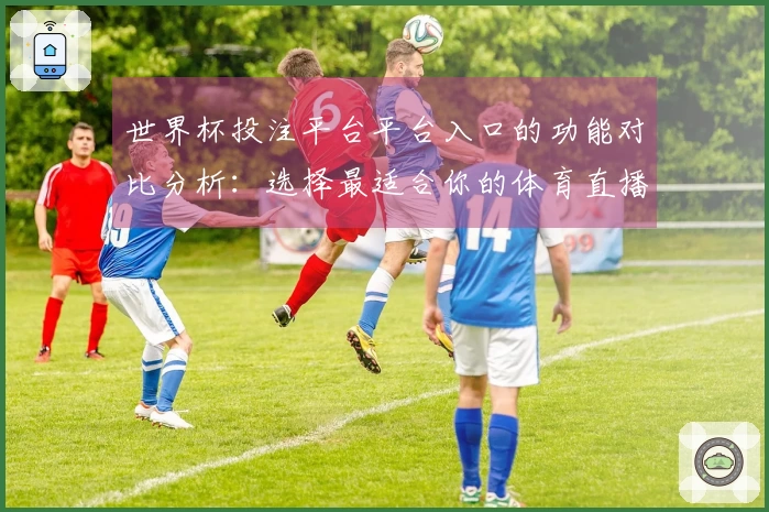世界杯投注平台平台入口的功能对比分析：选择最适合你的体育直播平台